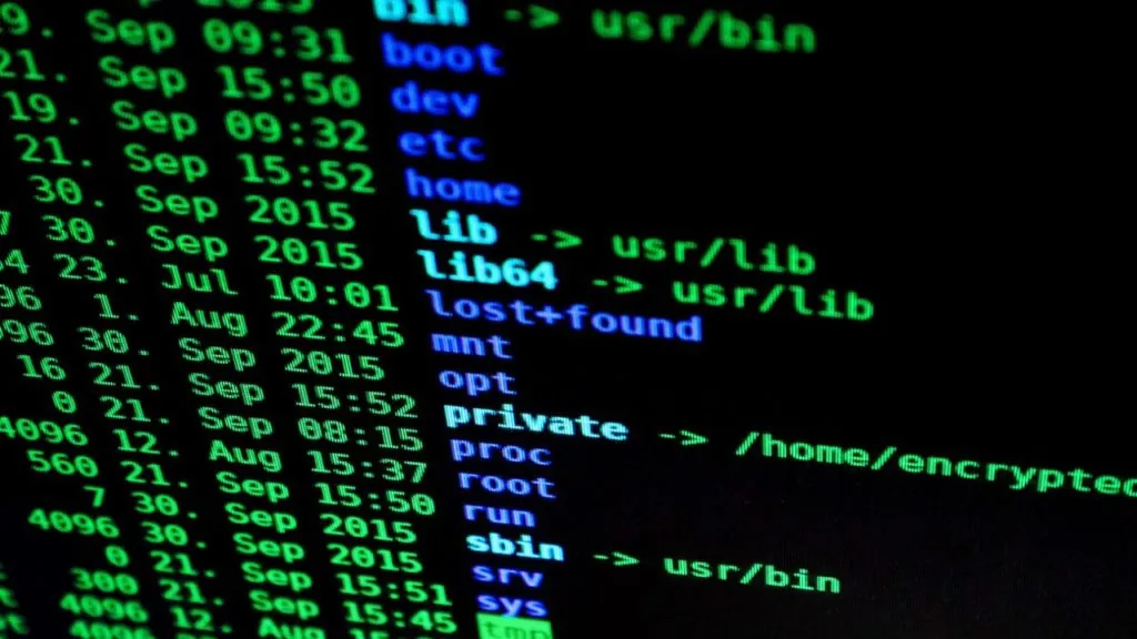 Password safety online | Laser Red | Digital Agency