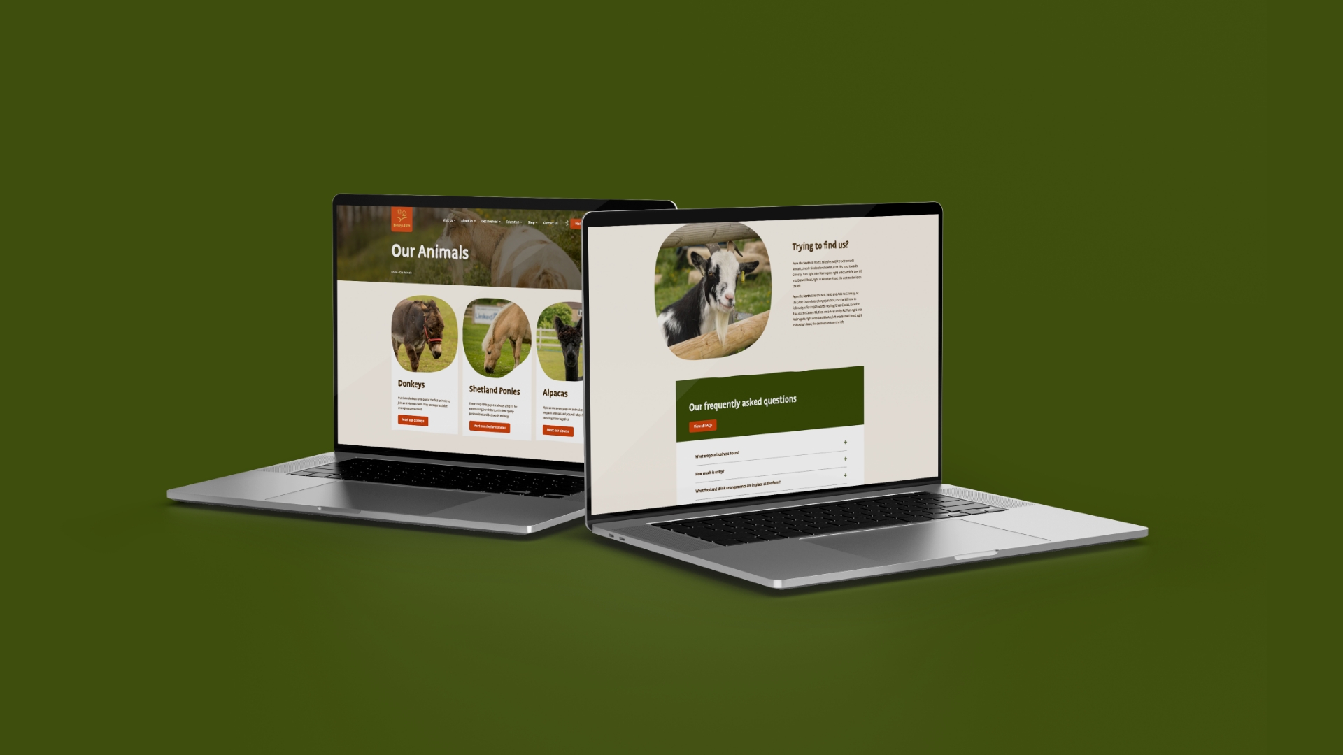 Nunny's Farm Website Build | LAser Red